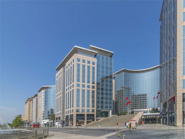 抗病玉米种子公司